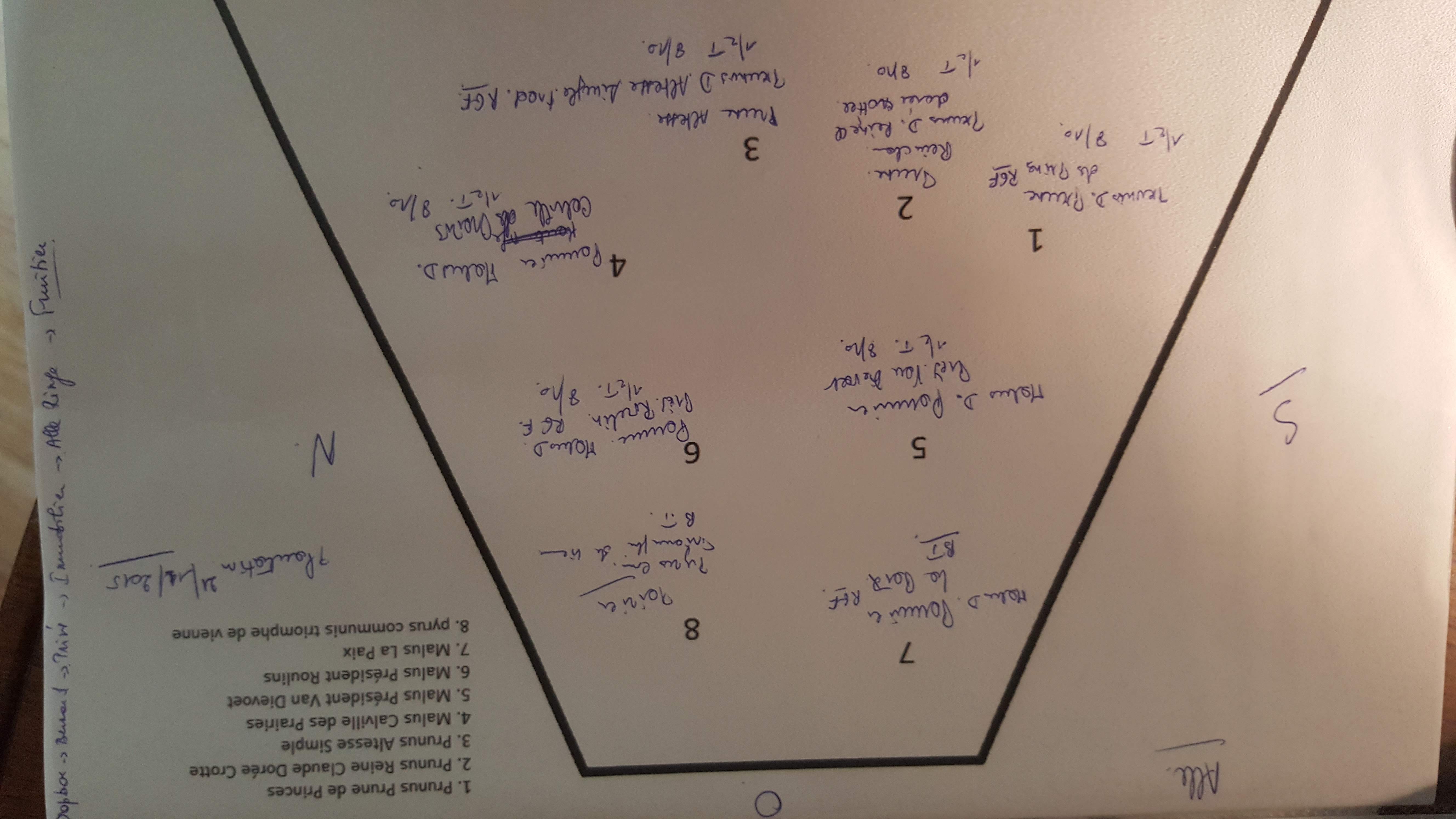 Plan fruitiers Alle.jpg